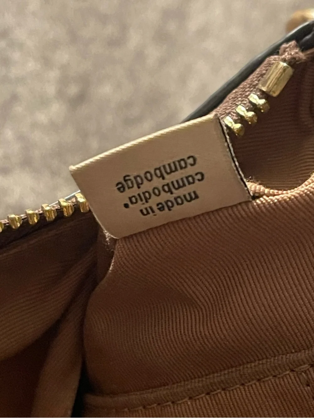 Coach Cherry-Print Mini Shoulder Bag in Brown and Red